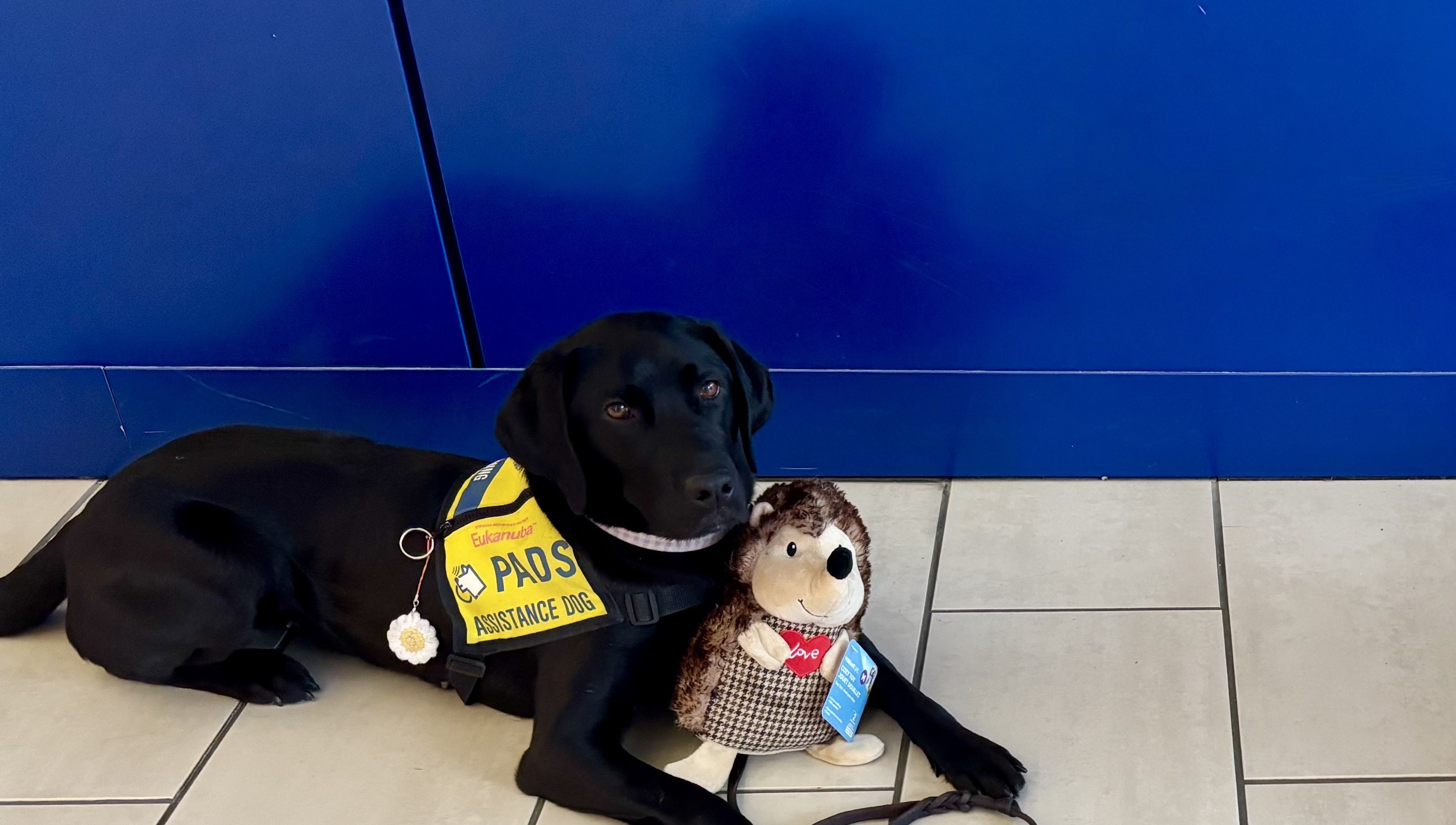 Meadow II | February 2026