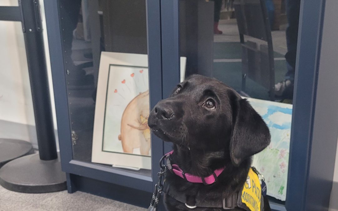 Minnow | January 2026