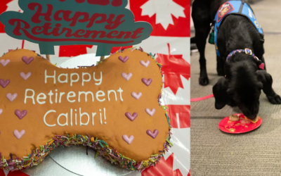 PADS Calibri Retires After Almost 8 Years of Service