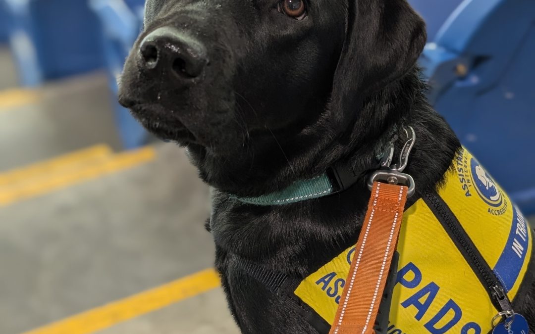 Kiara II | January 2026