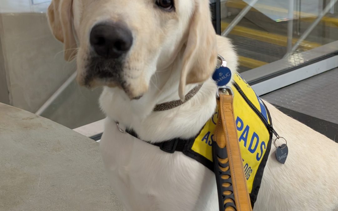 Smaug | January 2026