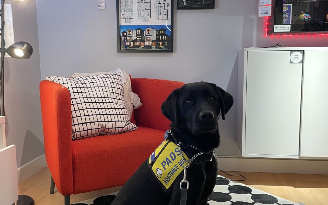 Puzzle | January 2026