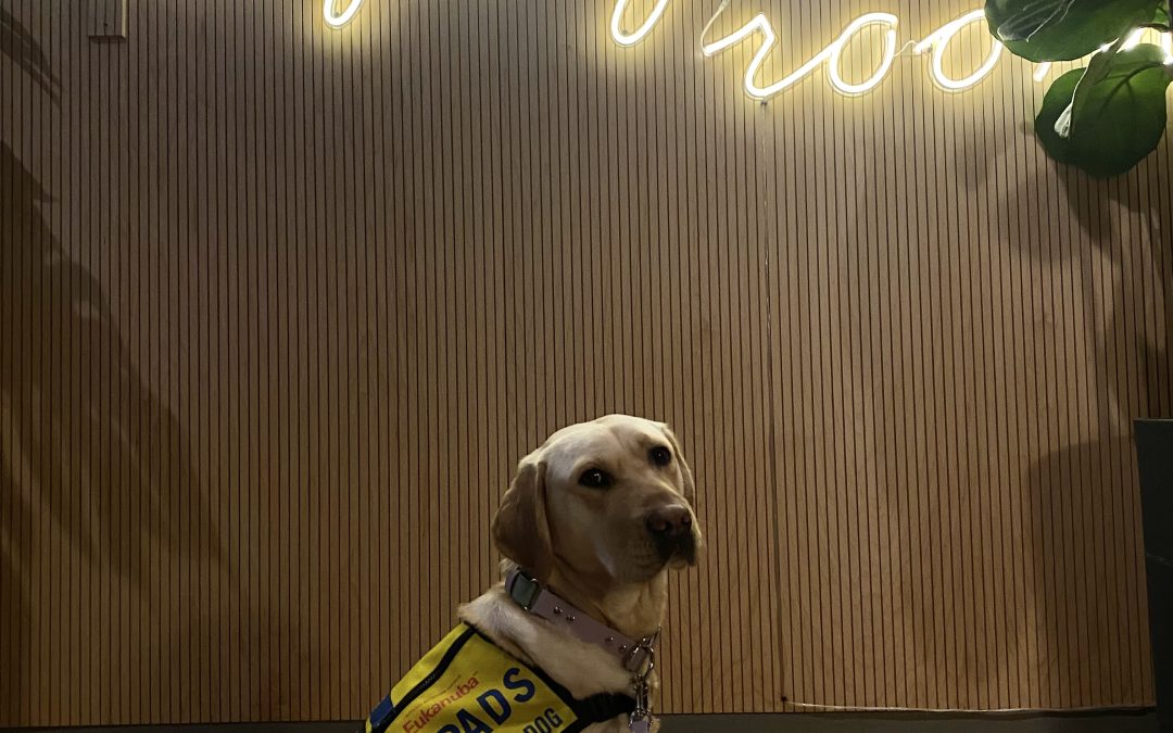 Quinoa | January 2026