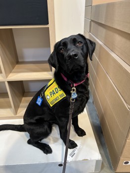 Rimbey | January 2026