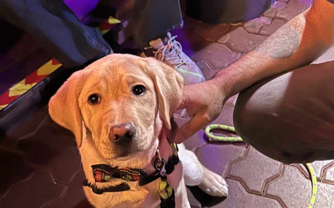 Royal II | January 2026