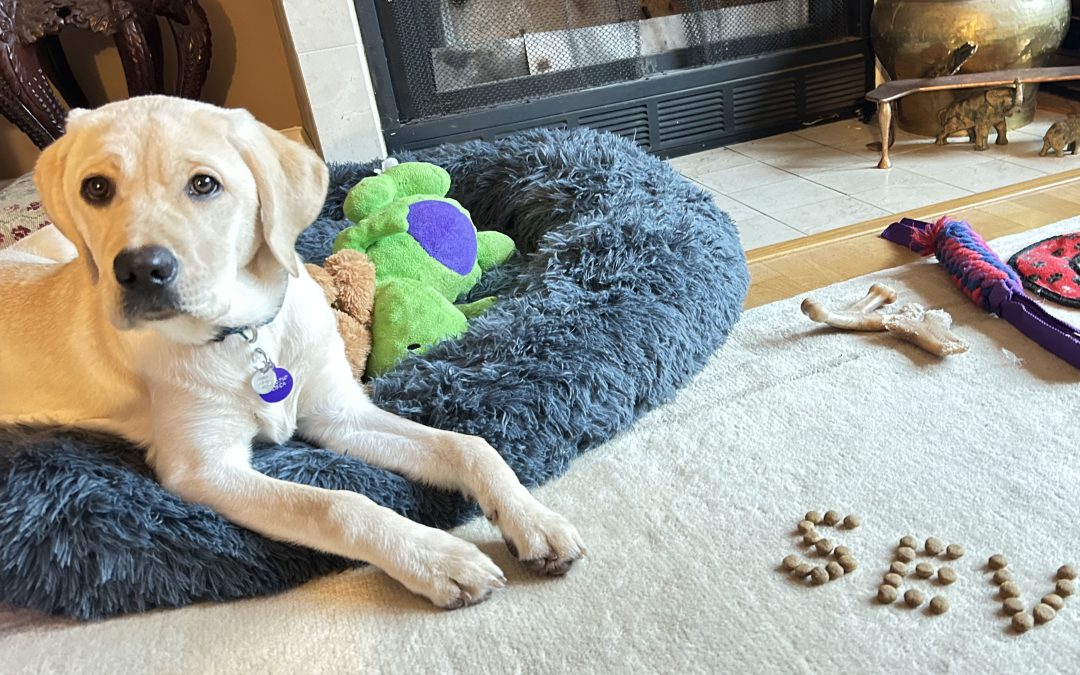 Seven II | January 2026