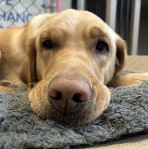 Sokka | January 2026