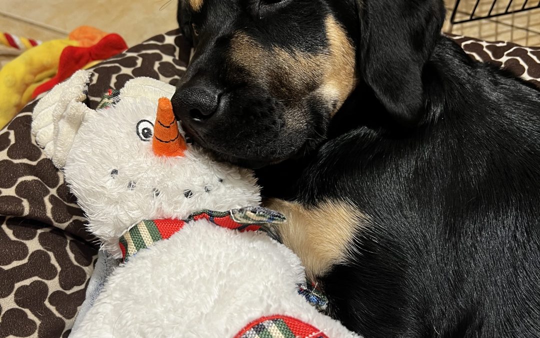 Stetson II | February 2026