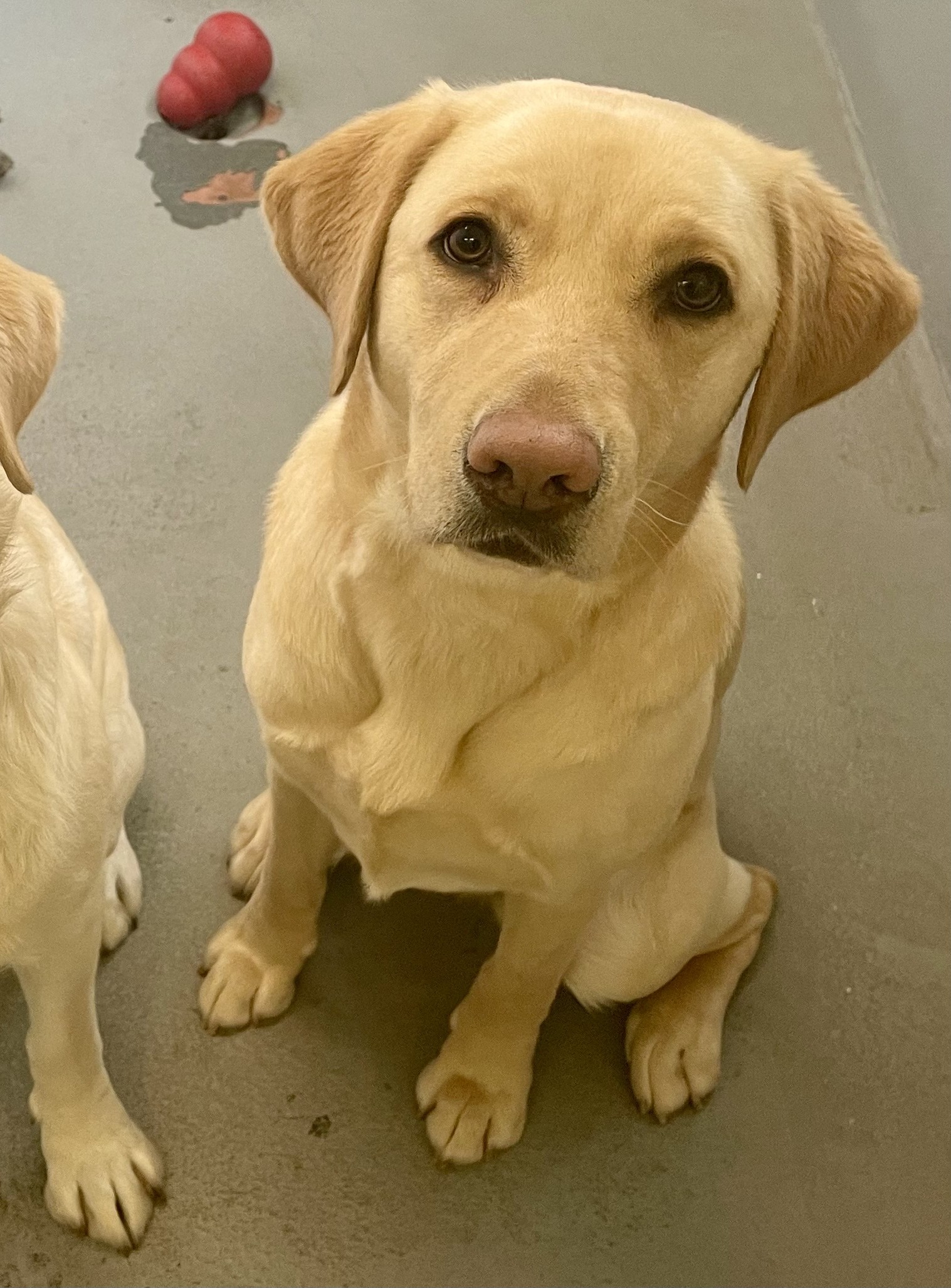 Tesla | January 2026