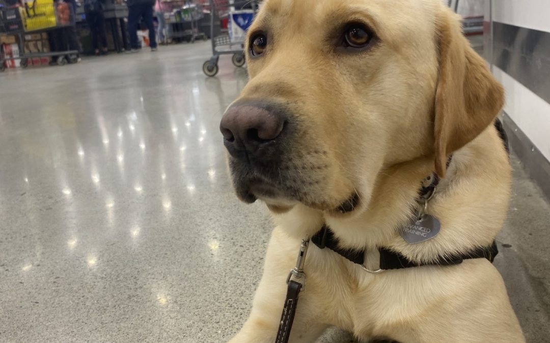 Marsh II | January 2026