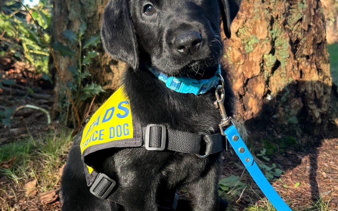 Hudson II | January 2026