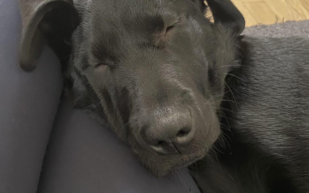 Imani | January 2026