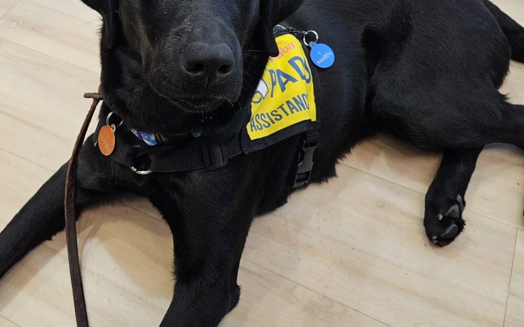 Maren | February 2026