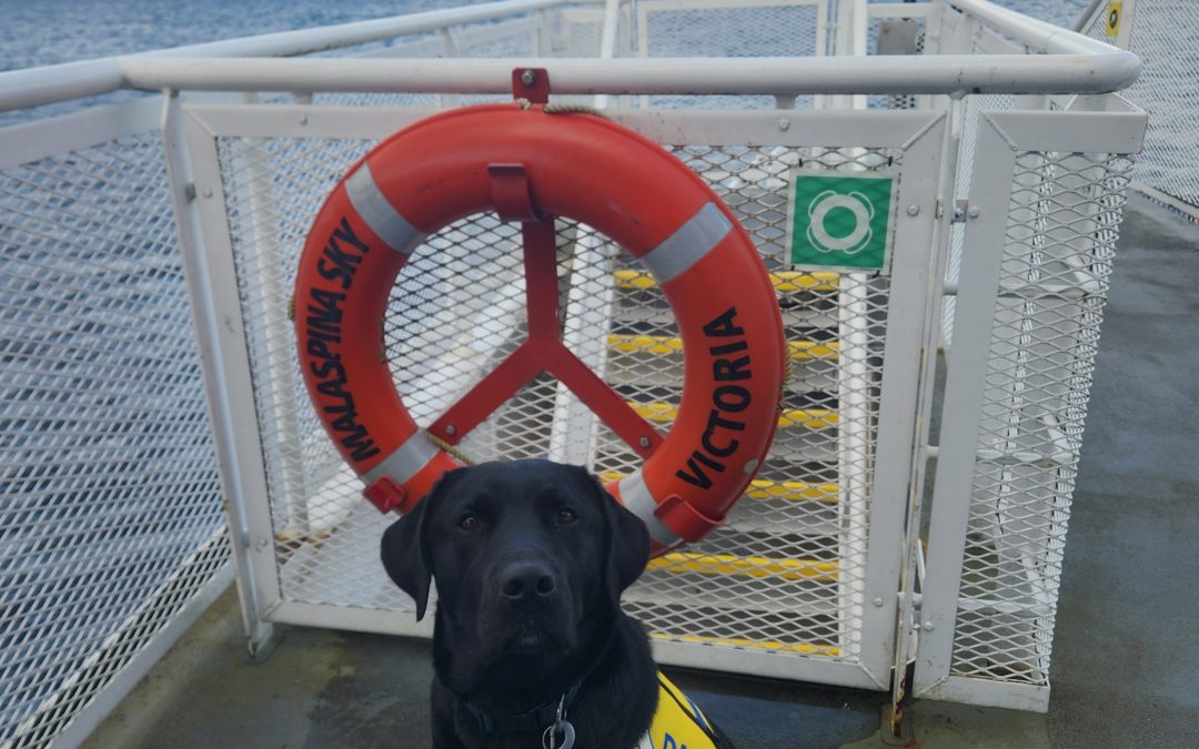 Windsor | March 2026