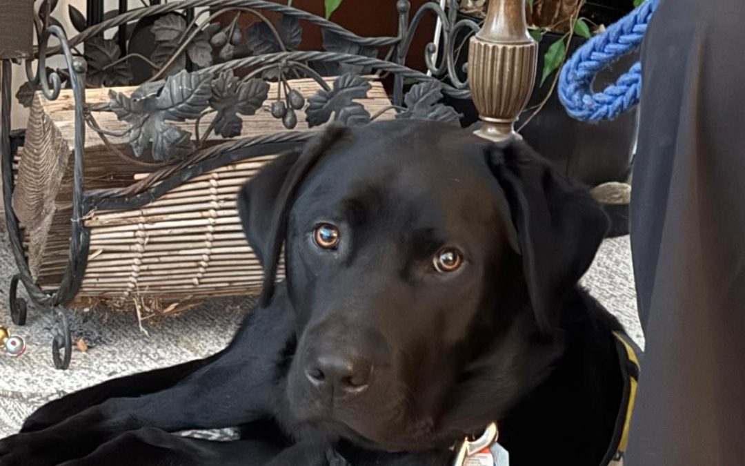 Milos | February 2026