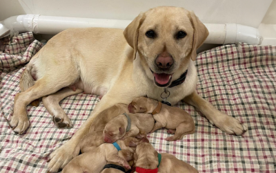 15 Years of Community – Josy & Bill’s Story