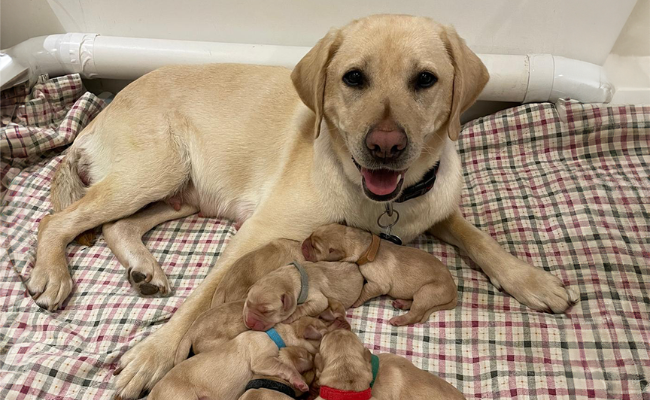 15 Years of Community – Josy & Bill’s Story