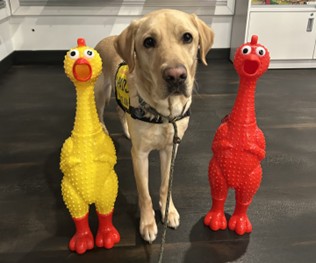 Bowden | February 2026