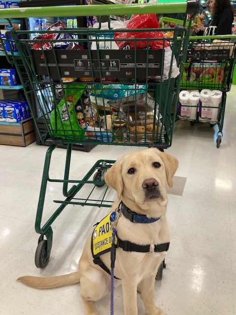 Bryn II | February 2026