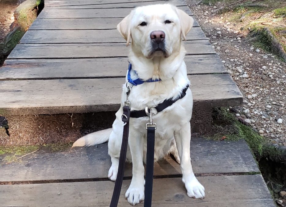 Bumble | February 2026