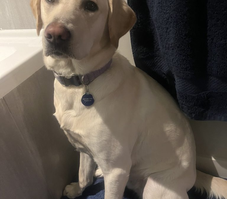 Rita | February 2026