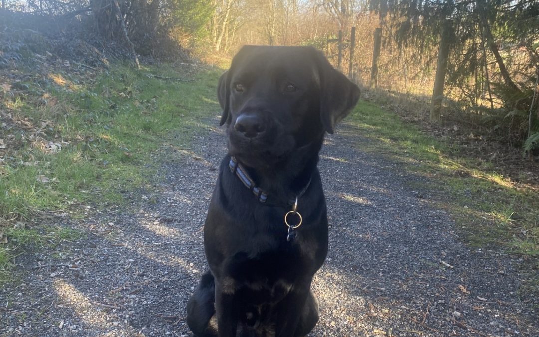 Drax | February 2026