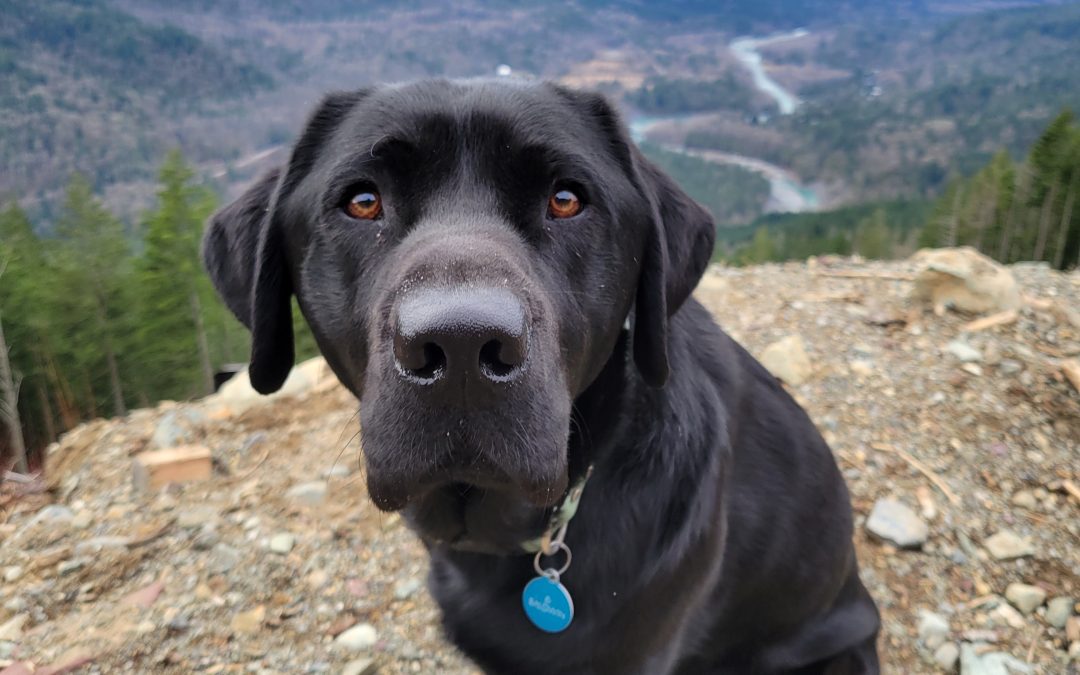 Baldwin | February 2026