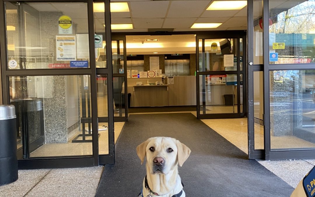 Golly | February 2026