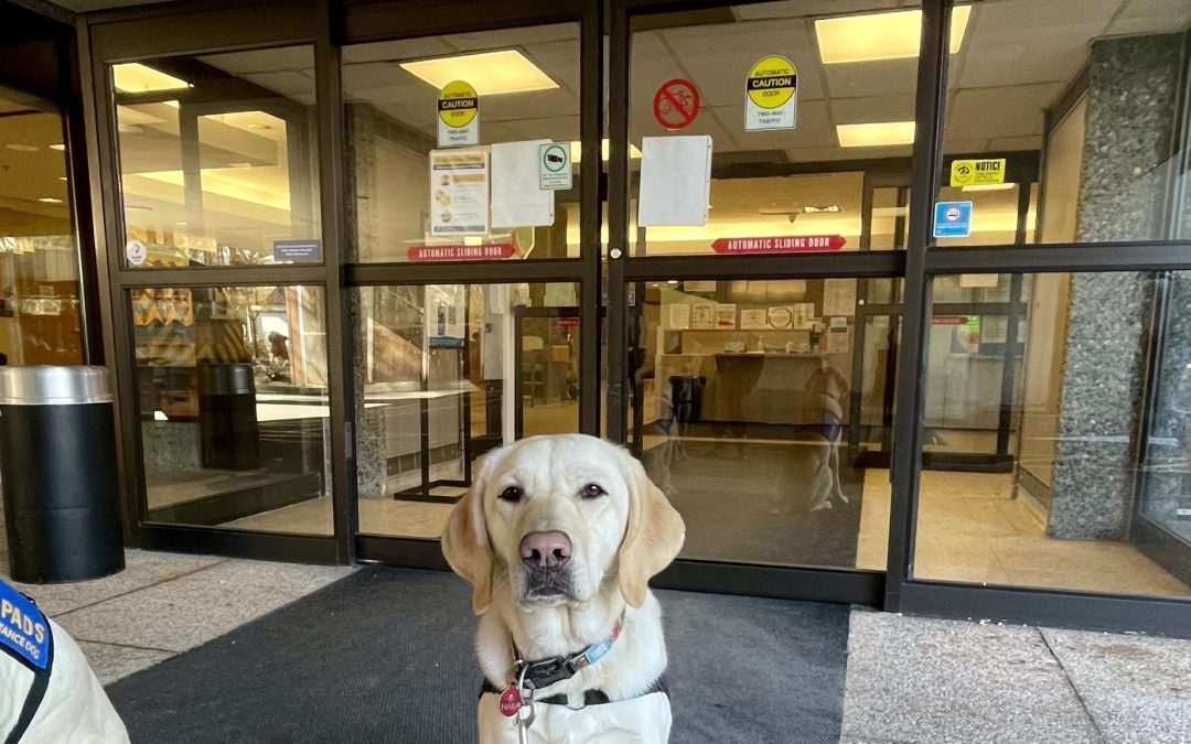 Hara | February 2026