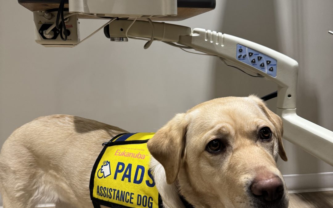 Skaha III | February 2026