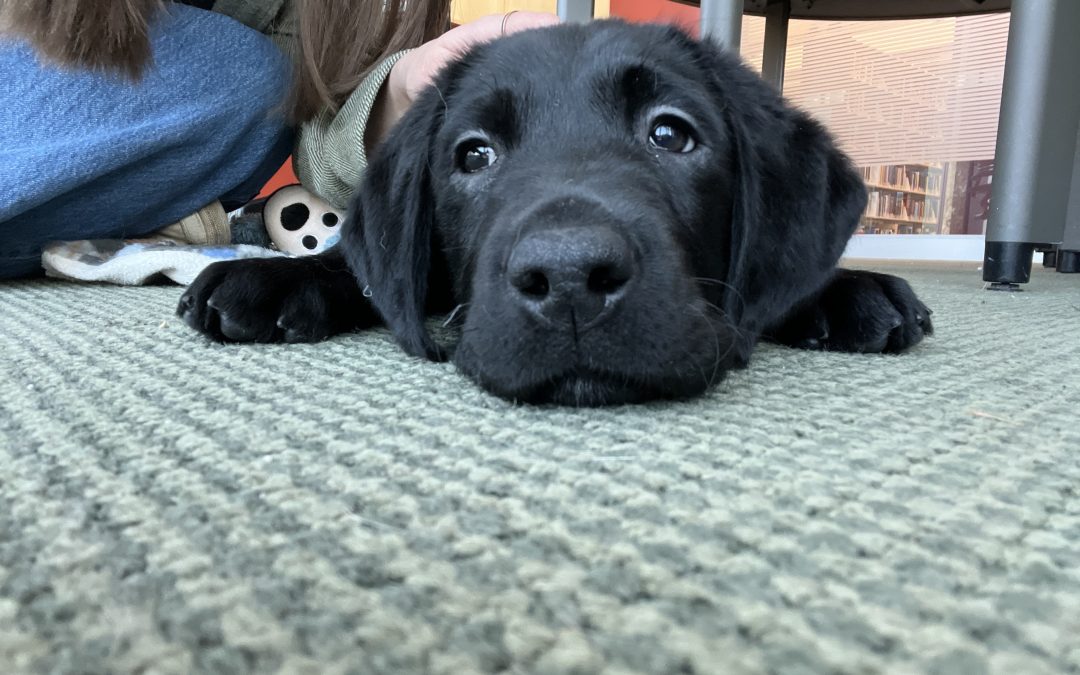 Hudson II | February 2026