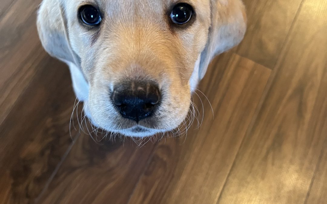 Hope III | February 2026