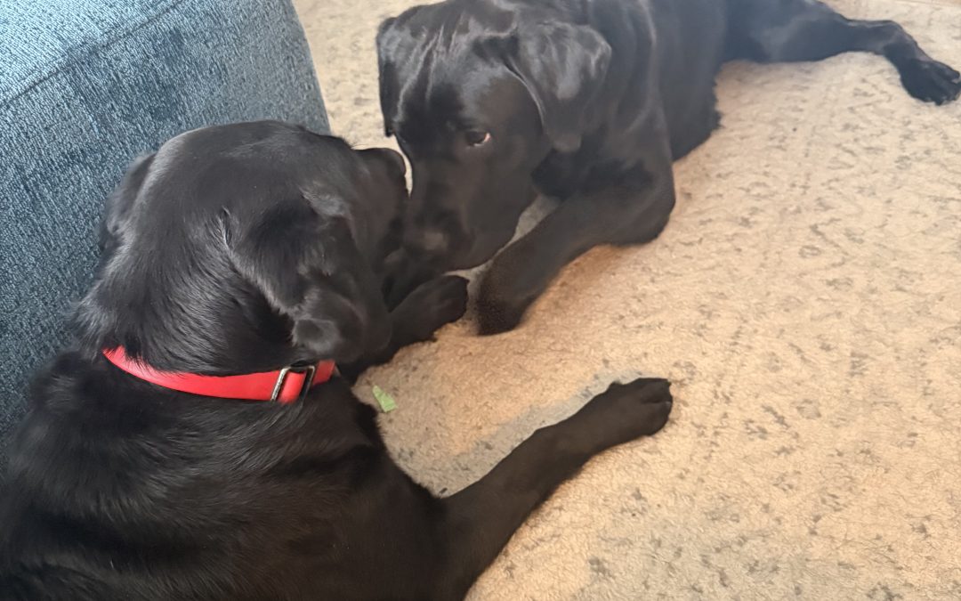 Bromley | February 2026