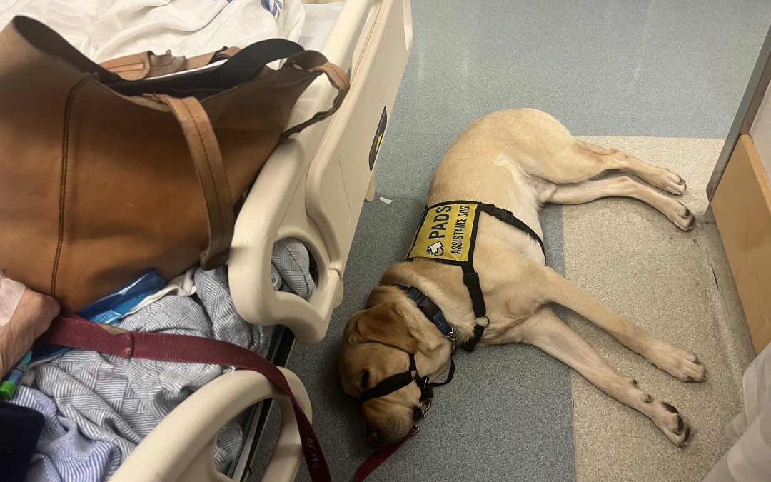 Casey | February 2026