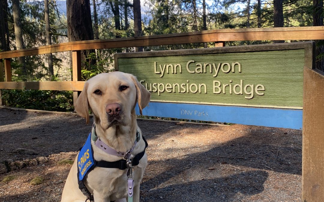 Quinoa | February 2026