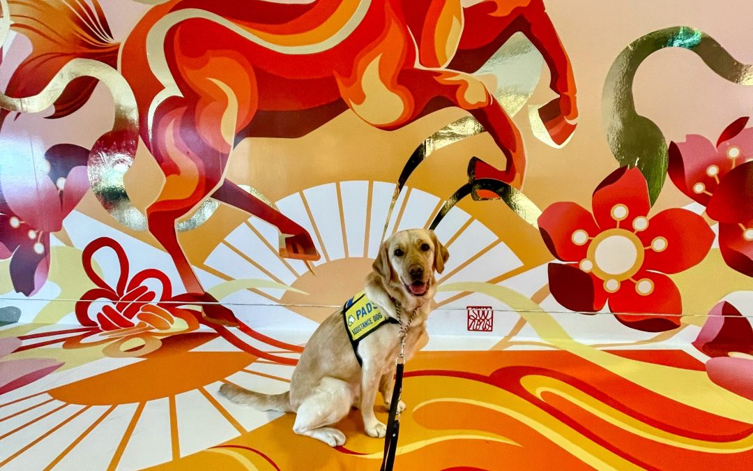 Korra | February 2026