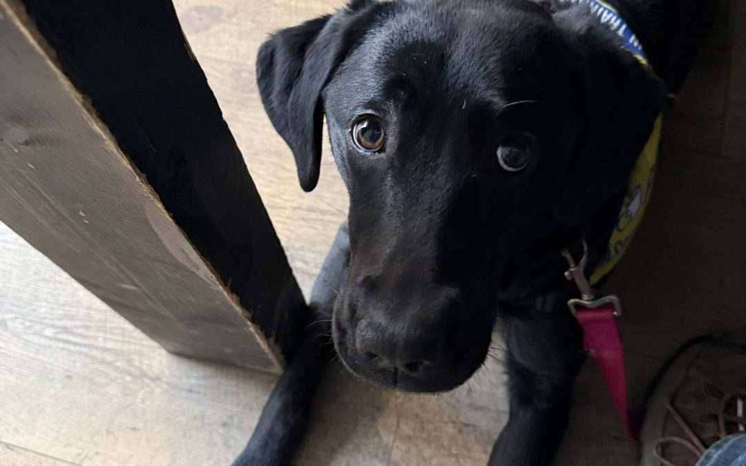 Brandy | February 2026