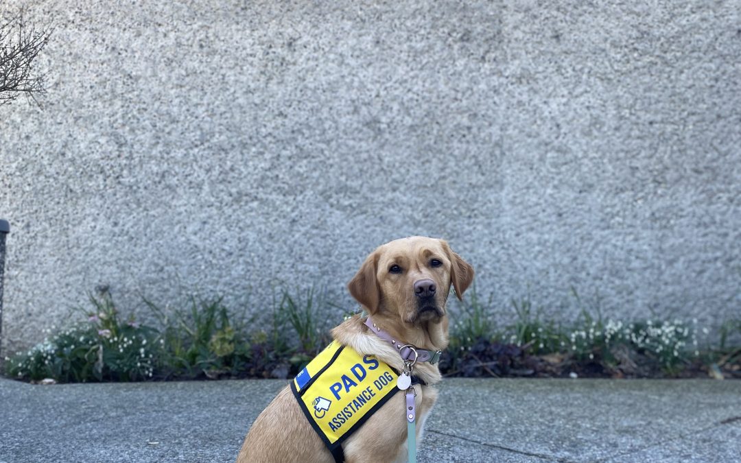 Zuko | February 2026