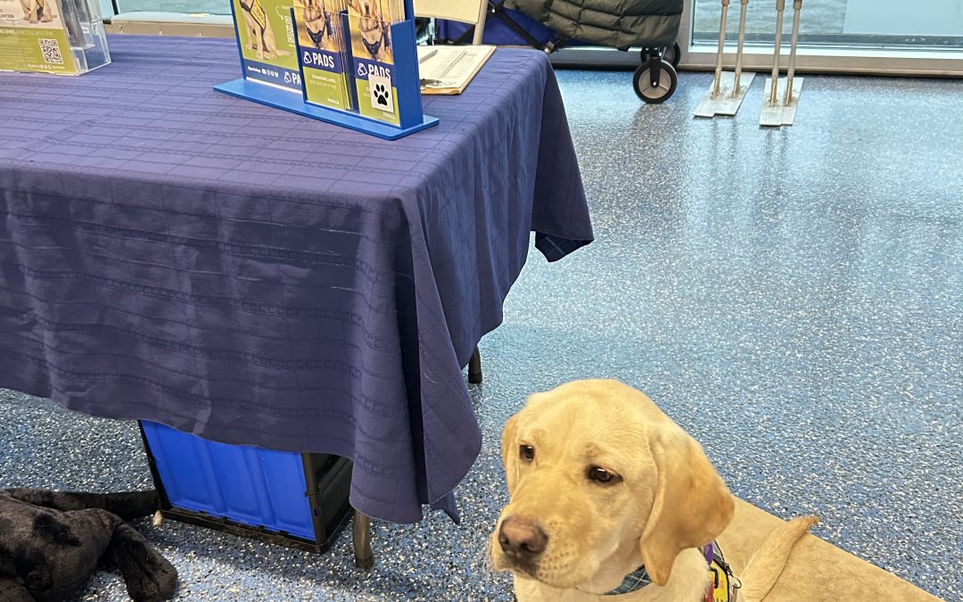 Seven II | February 2026