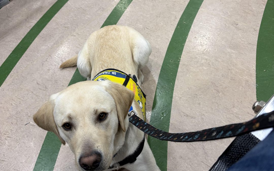 Sturko | February 2026