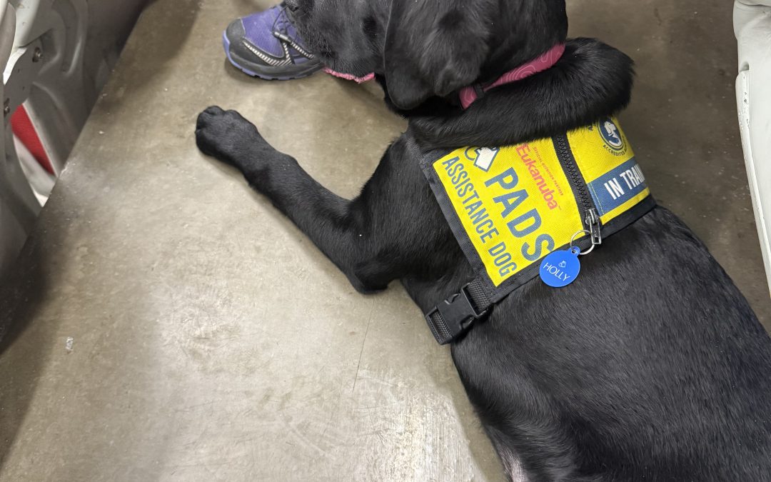 Holly | February 2026