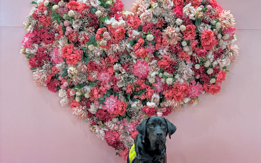 Jingle II | February 2026