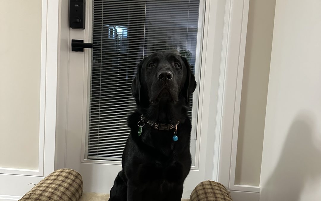 Arthur | February 2026