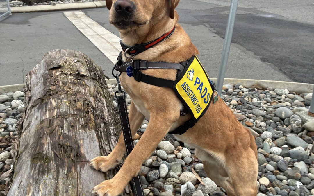 Grant | February 2026