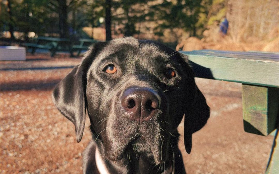 Sparx | January 2026