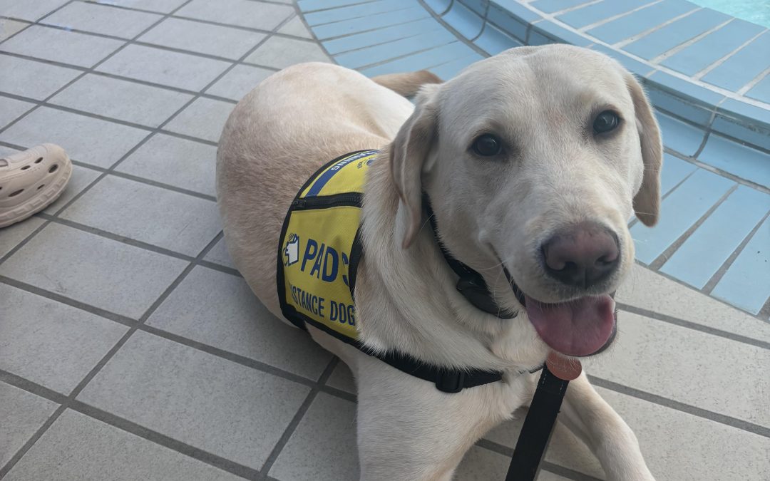 Lylie | February 2026