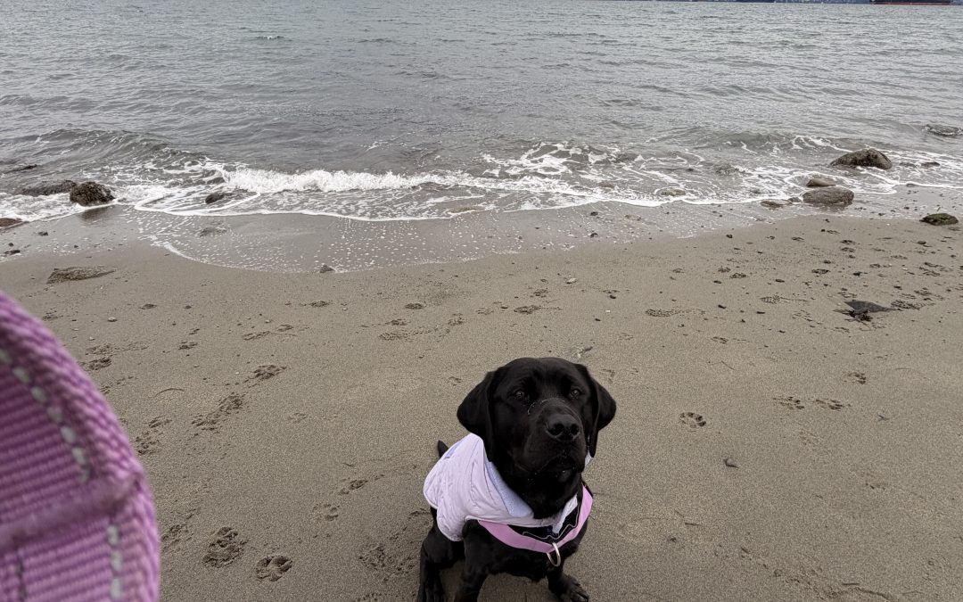 Sparx | February 2026