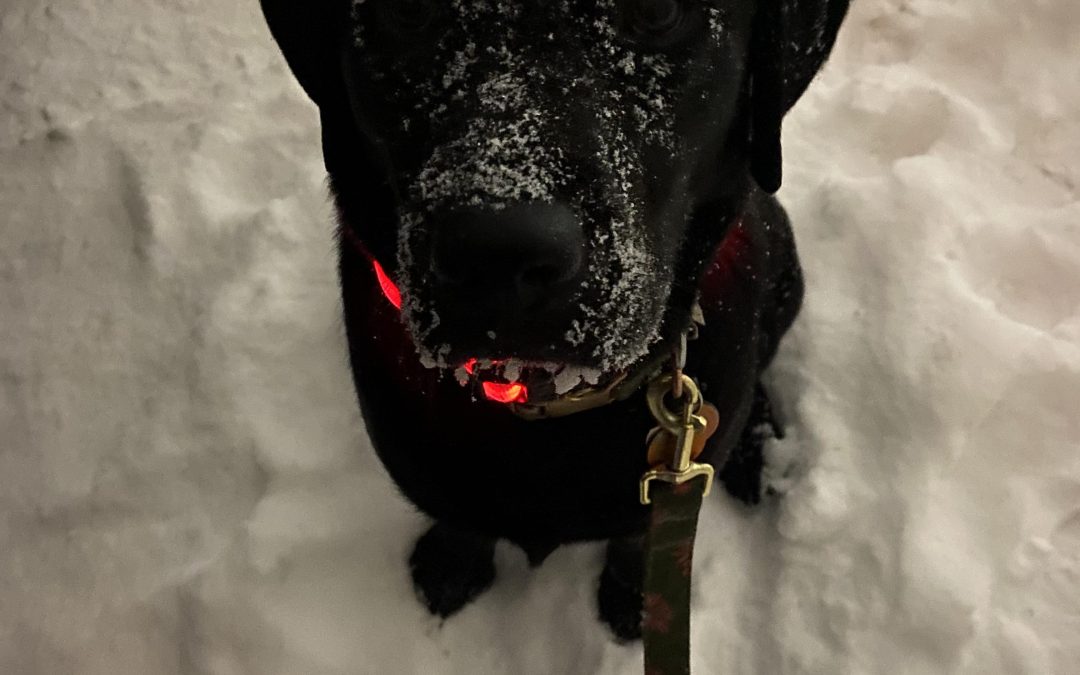 Coola | February 2026