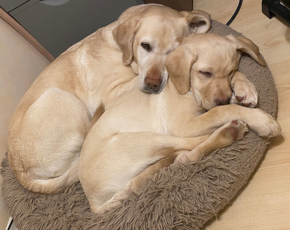 Frosty II | February 2026