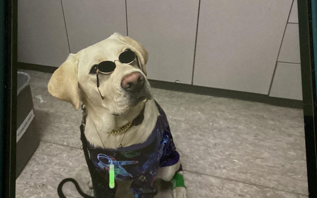 Jonsie | February 2026